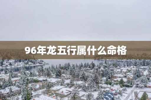 96年龙五行属什么命格