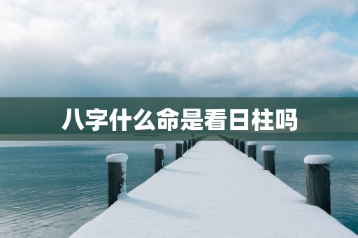 八字什么命是看日柱吗
