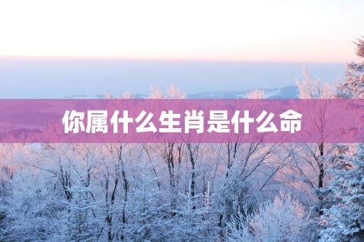 你属什么生肖是什么命
