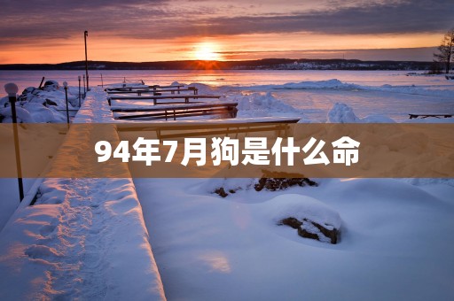 94年7月狗是什么命