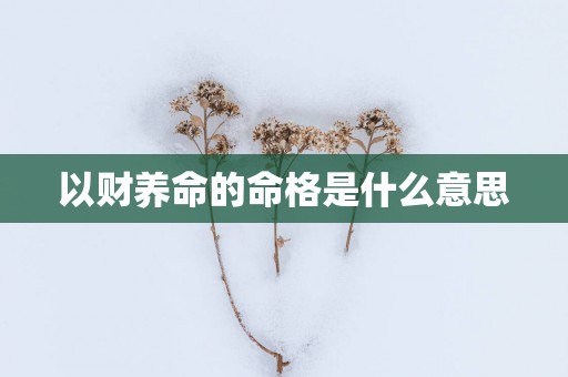 以财养命的命格是什么意思