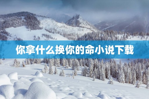 你拿什么换你的命小说下载