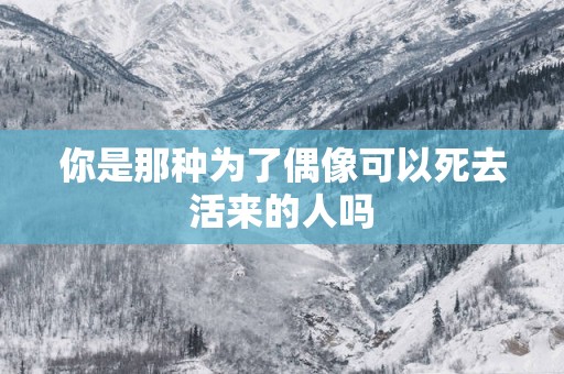 你是那种为了偶像可以死去活来的人吗