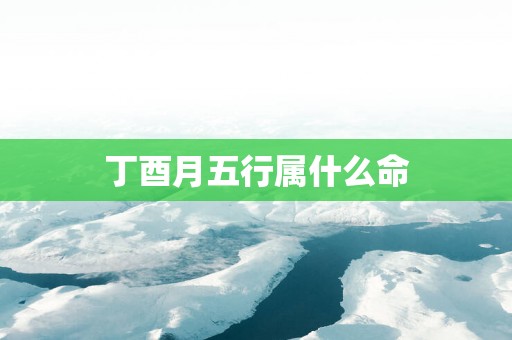 丁酉月五行属什么命