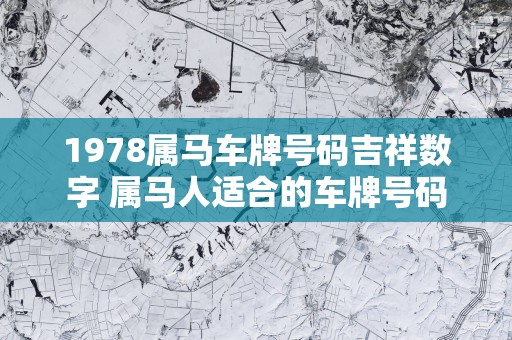 1978属马车牌号码吉祥数字 属马人适合的车牌号码
