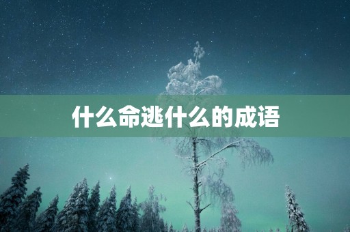 什么命逃什么的成语