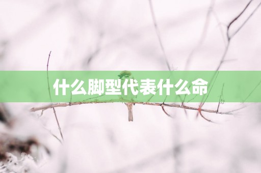 什么脚型代表什么命