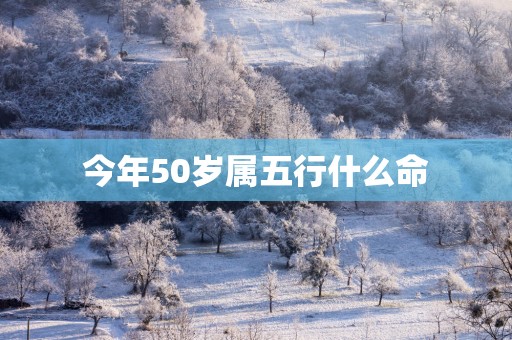 今年50岁属五行什么命
