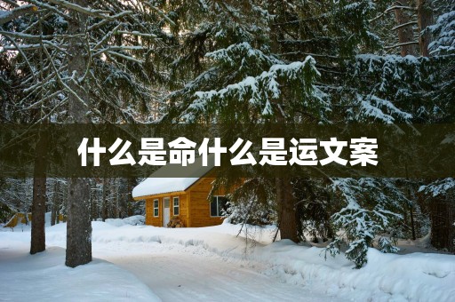 什么是命什么是运文案