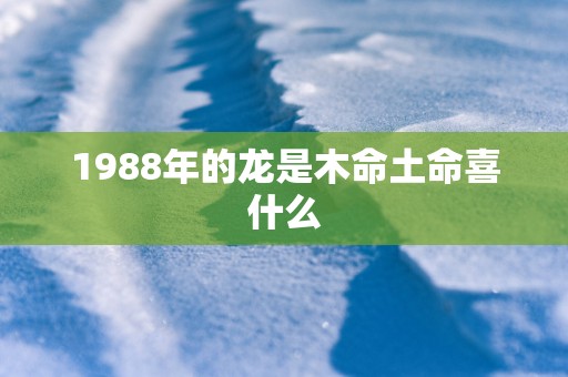 1988年的龙是木命土命喜什么