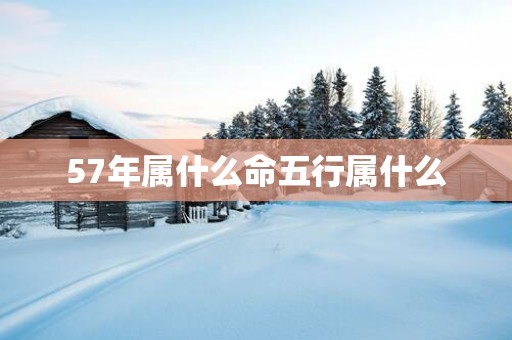 57年属什么命五行属什么