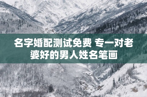 名字婚配测试免费 专一对老婆好的男人姓名笔画