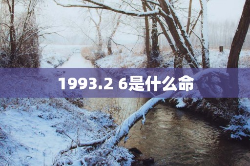 1993.2 6是什么命
