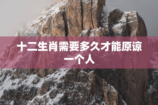 十二生肖需要多久才能原谅一个人