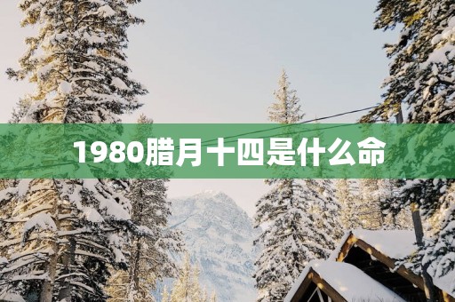 1980腊月十四是什么命