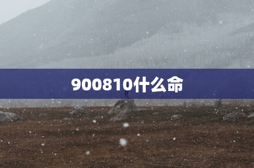 900810什么命