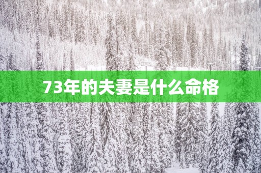 73年的夫妻是什么命格