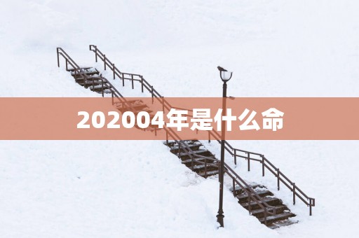 202504年是什么命