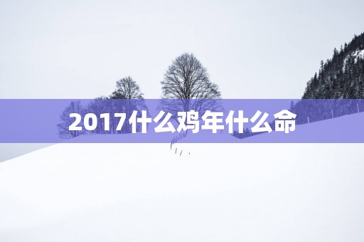 2017什么鸡年什么命