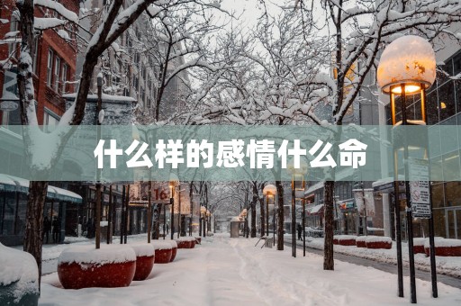 什么样的感情什么命