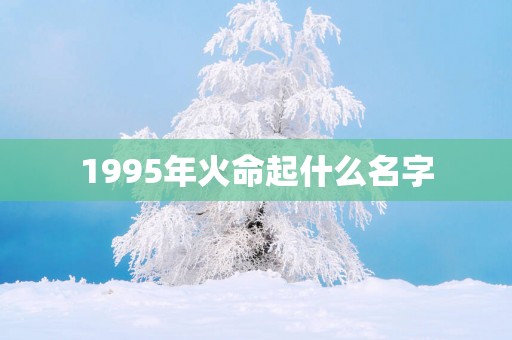 1995年火命起什么名字