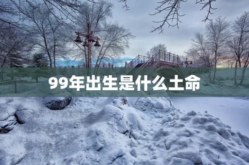 99年出生是什么土命