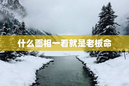什么面相一看就是老板命