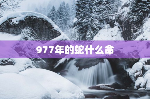 977年的蛇什么命