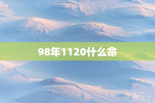98年1120什么命