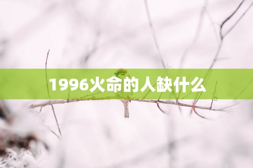 1996火命的人缺什么