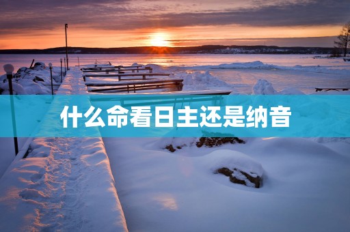 什么命看日主还是纳音