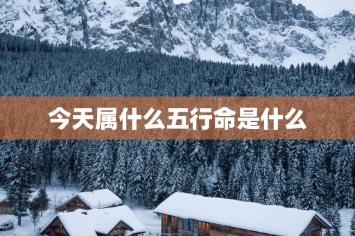 今天属什么五行命是什么