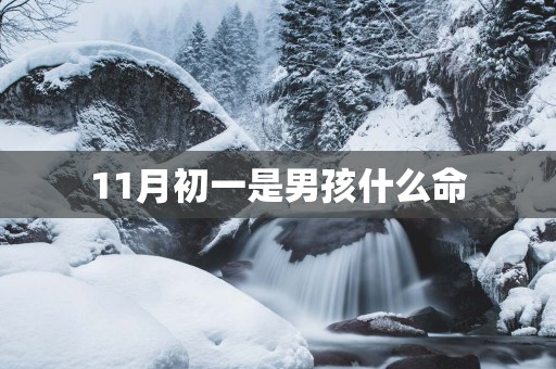 11月初一是男孩什么命