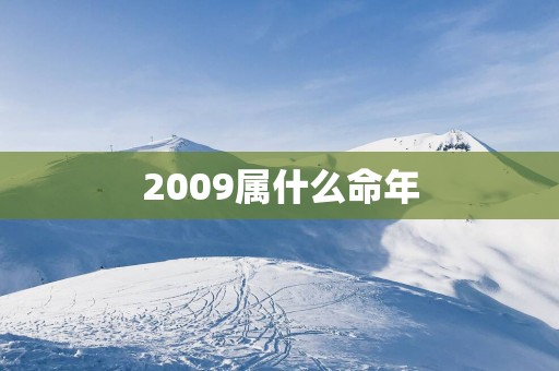 2009属什么命年