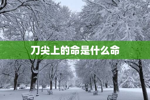 刀尖上的命是什么命