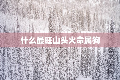 什么最旺山头火命属狗