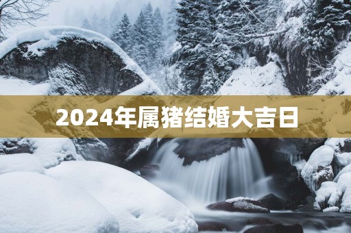2025年属猪结婚大吉日