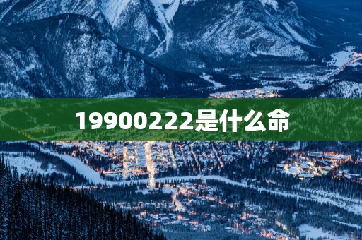 19900222是什么命