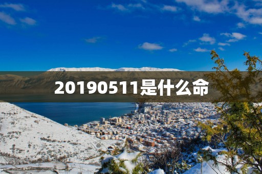 20190511是什么命