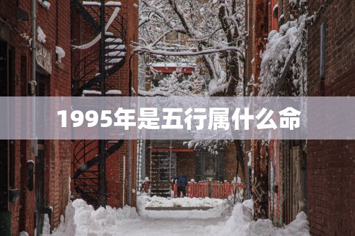 1995年是五行属什么命