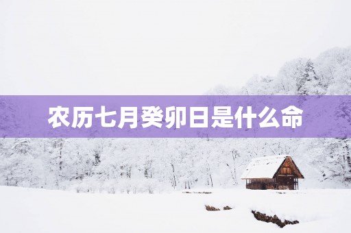 农历七月癸卯日是什么命