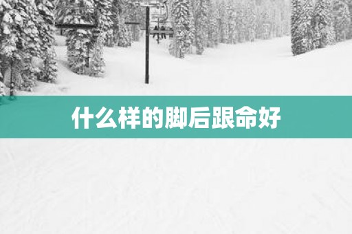 什么样的脚后跟命好