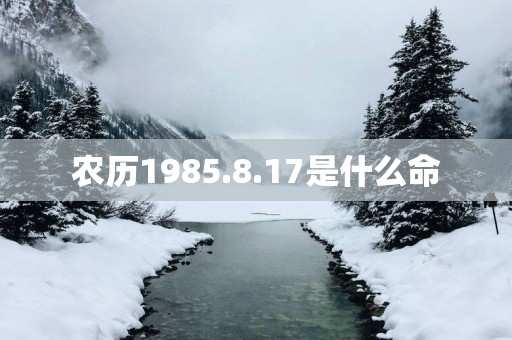 农历1985.8.17是什么命