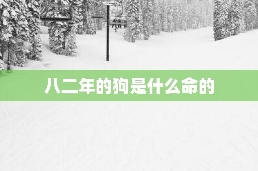 八二年的狗是什么命的
