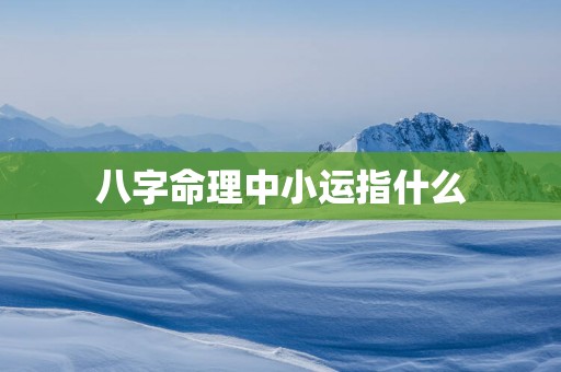 八字命理中小运指什么