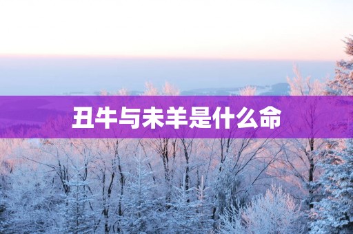 丑牛与未羊是什么命
