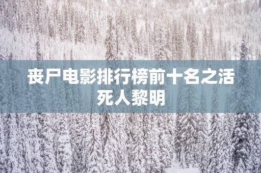 丧尸电影排行榜前十名之活死人黎明