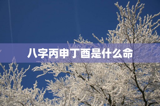 八字丙申丁酉是什么命