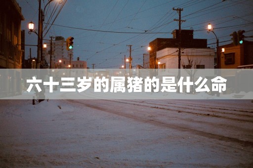 六十三岁的属猪的是什么命