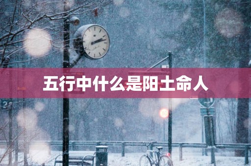 五行中什么是阳土命人
